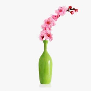 https://fincabienvenido.testme.es/wp-content/uploads/2016/08/green-vase-300x300.jpg