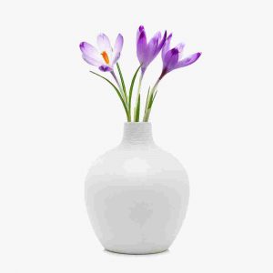 https://fincabienvenido.testme.es/wp-content/uploads/2016/08/white-vase-300x300.jpg